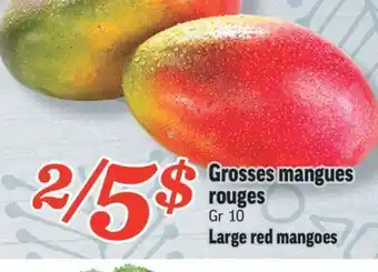 Marché Richelieu Grosses mangues rouges | large red mangoes offer