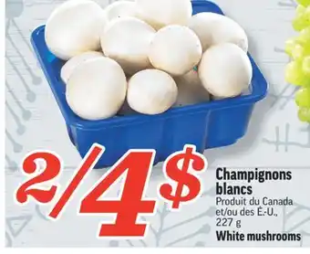 Marché Richelieu Champignons blancs | white mushrooms offer