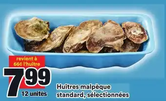 Super C Huîtres malpèque standard, sélectionnées offer