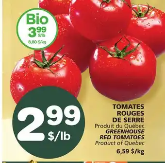 Marches Tradition Greenhouse red tomatoes offer