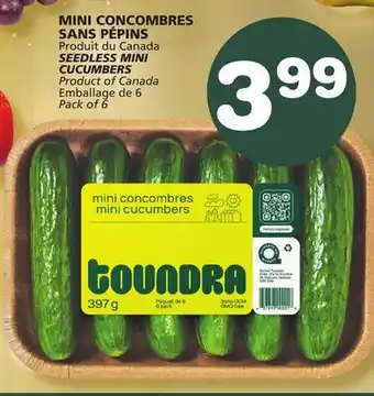 Marches Tradition Seedless mini cucumbers offer