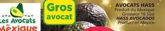 Marches Tradition Hass avocados offer