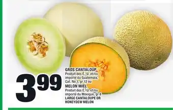 Super C Gros cantaloup ou melon miel | large cantaloupe or honeydew melon offer