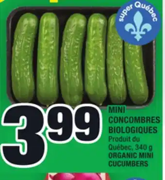 Super C Mini concombres biologiques | organic mini cucumbers offer