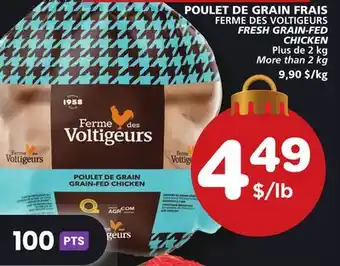 Marches Tradition Ferme des voltigeurs fresh grain-fed chicken offer