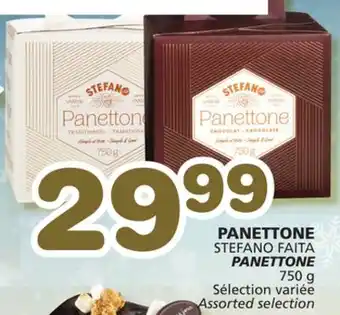 Marches Tradition Stefano faita panettone offer