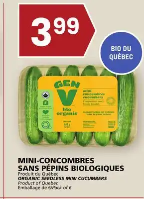 Rachelle-Bery Grocery Organic seedless mini cucumbers offer