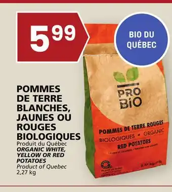 Rachelle-Bery Grocery Organic white, yellow or red potatoes offer