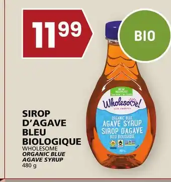 Rachelle-Bery Grocery Wholesome organic blue agave syrup offer