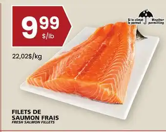 Rachelle-Bery Grocery Fresh salmon fillets offer