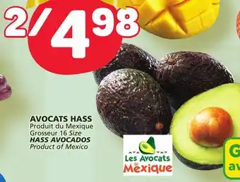 Marché Bonichoix Hass avocados offer