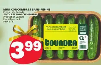 Marché Bonichoix Seedless mini cucumbers offer