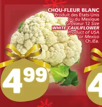 Marché Bonichoix White cauliflower offer