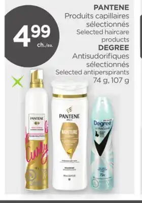 Proxim Pantene, degree offer