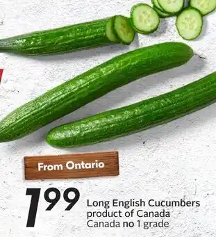 Sobeys Long English Cucumbers offer