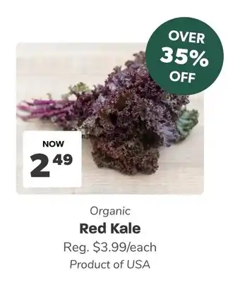 Blush Lane Organics Organic Red Kale offer
