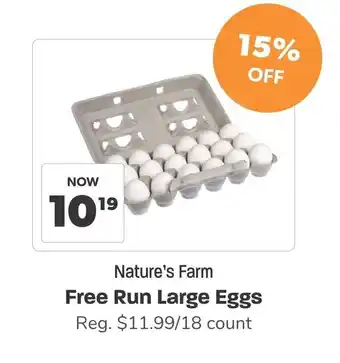 Nature's Farm Free Run Large Eggs