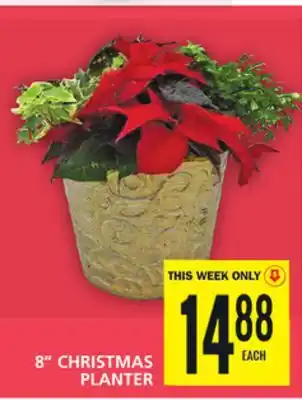 Food Basics 8 christmas planter offer