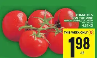 Food Basics Tomatoes on the vine offer