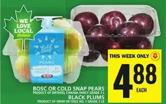 Food Basics Bosc or cold snap pears or black plums offer