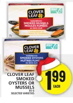 Food Basics Clover leaf smoked oysters or mussels offer