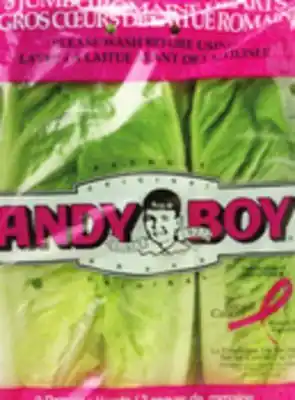 Sobeys Romaine hearts offer