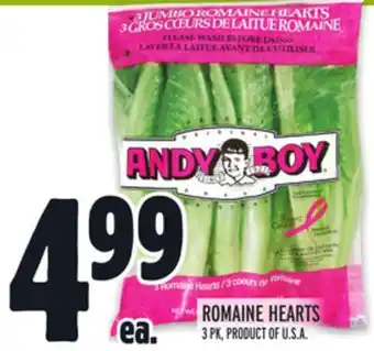 Metro Romaine hearts offer