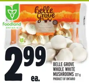 Metro Belle grove whole white mushrooms offer
