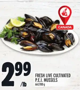 Metro Fresh live cultivated p.e.i. mussels offer