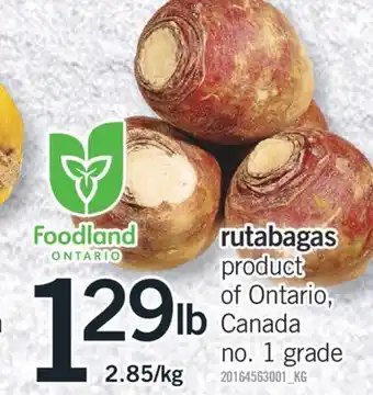 Fortinos Rutabagas offer