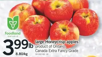 Fortinos Large honeycrisp apples offer