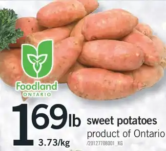 Fortinos Sweet potatoes 3.73/kg offer