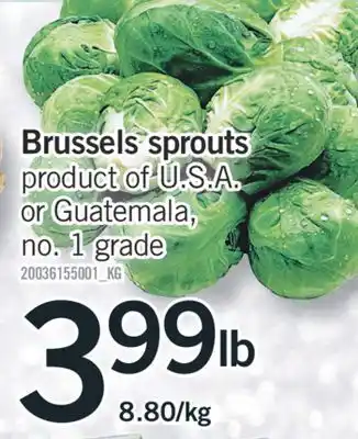 Fortinos Brussels sprouts offer