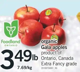 Fortinos Organic gala apples offer