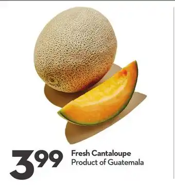 Longo's Fresh cantaloupe offer
