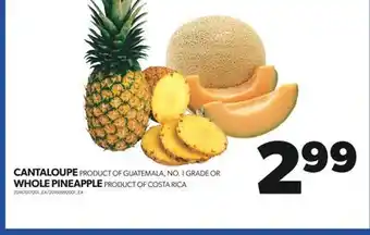 Real Canadian Superstore Cantaloupe or whole pineapple offer