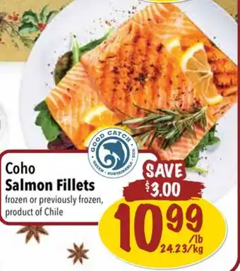 Farm Boy Coho salmon fillets offer