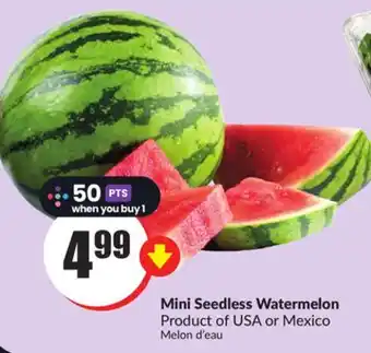 Chalo FreshCo Mini seedless watermelon product of usa or mexico offer