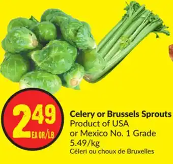 Chalo FreshCo Celery or brussels sprouts product of usa or mexico no. 1 grade 5.49/kg offer