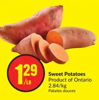 Chalo FreshCo Sweet potatoes product of ontario 2.84/kg offer