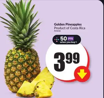 FreshCo Golden pineapples product of costa rica offer