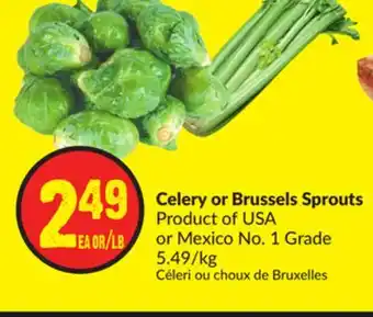 FreshCo Celery or brussels sprouts product of usa or mexico no. 1 grade 5.49/kg offer