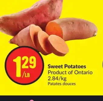 FreshCo Sweet potatoes product of ontario 2.84/kg offer