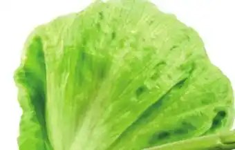 Giant Tiger Iceberg lettuce offer