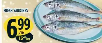 Marché Adonis Fresh sardines offer