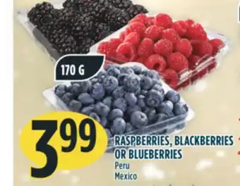 Marché Adonis Raspberries, blackberries or blueberries offer
