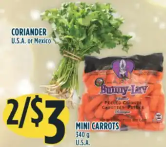 Marché Adonis Coriander offer
