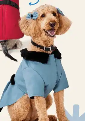 Petvalu Bailey & bella winter dog apparel offer