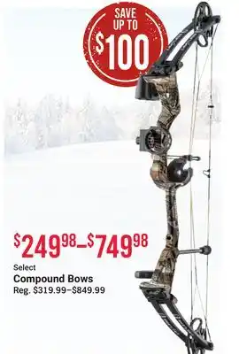 Bass Pro Select compound bows offer