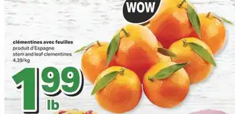 L'Intermarché Clémentines avec feuilles offer